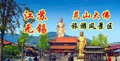 中国性爱老妇山雀凸轮视频江苏无锡灵山大佛旅游风景区
