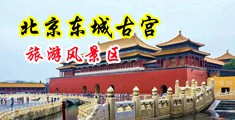 大黑吊双抽亚洲女中国北京-东城古宫旅游风景区